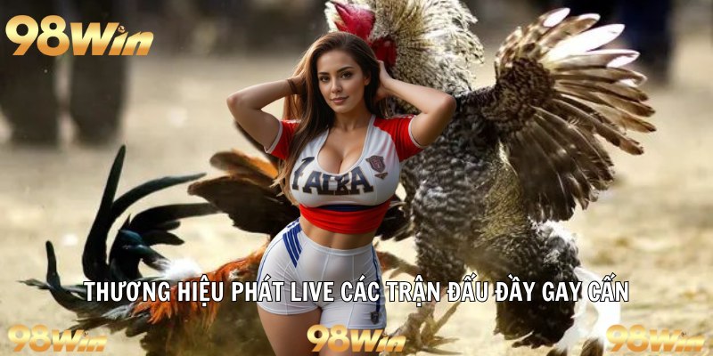 ĐÁ GÀ CỰA SẮT – TRẢI NGHIỆM ĐỈNH CAO VÀ AN TOÀN TẠI 98WIN 6 Thương hiệu phát live các trận đấu đầy gay cấn